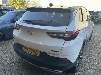 Opel Grandland X  1.2 Turbo Business Executive picture 5