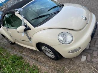 Volkswagen Beetle  picture 11