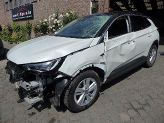 uszkodzony samochody ciężarowe Opel Grandland X Innovation 2021/9
